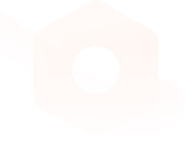 Customer Success Expert